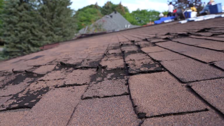 Best Skylight Installation and Repair  in Wynantskill, NY