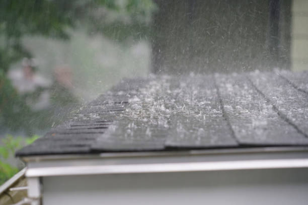 Best Roof Maintenance and Cleaning  in Wynantskill, NY