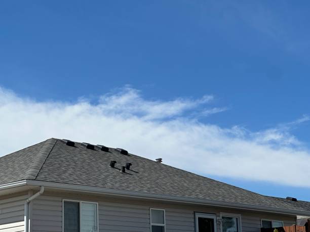 Best Gutter Installation and Repair  in Wynantskill, NY